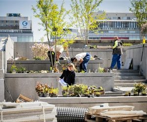 Warszawa. Plac Centralny