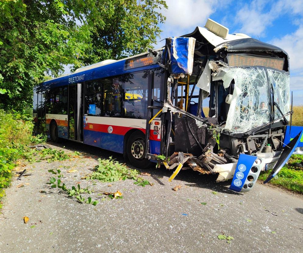 Pod Bydgoszczą autobus podmiejski uderzył w drzewo. Kierowca został uwięziony we wraku. Kilkanaście osób jest rannych! [ZDJĘCIA]