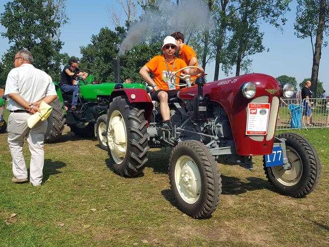 Festiwal starych ciągników w Wilkowicach. Setki maszyn, tysiące widzów i upał