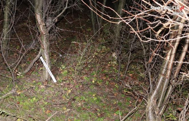 UWAGA! Potwór zakłada PUŁAPKI na zwierzęta. ZABIŁ dzieciom psa. "Zmarł w męczarniach"