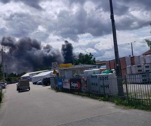 Pożar hali produkcyjnej w Sulejówku