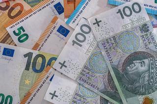 Euro w Polsce! Polacy zmieniają zdanie