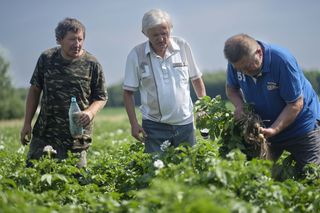 Rolnicy. Podlasie. Przygotowania do ślubu. Wesele coraz bliżej. Nie ma czasu