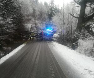 Sopotnia Mała: Na parę jadącą motorowerem spadło drzewo. Trafili do szpitala 