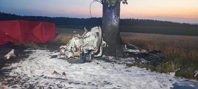 Auto uderzyło w drzewo i stanęło w płomieniach! Kierowca nie miał szans 