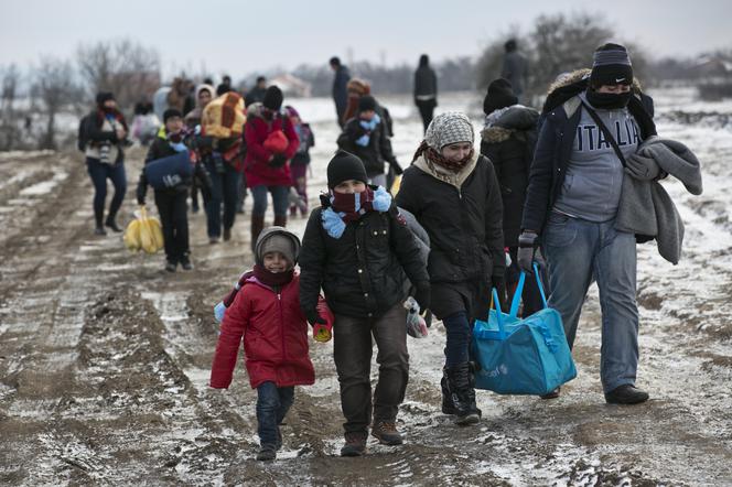 Uchodźca z Syrii dostaje w Niemczech 30 tys. euro zasiłku miesięcznie