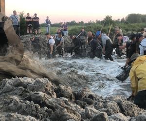 Poszukiwacze bursztynu w Rewie. Jak wyglądają poszukiwania złota Bałtyku? 