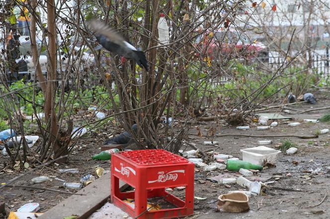 Skwer przy skrzyżowaniu ul.Targowej i ul.Ząbkowskiej