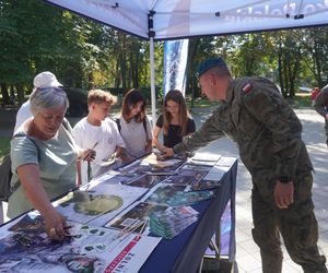 MSPO 2025. Piknik wojskowy w Kielcach