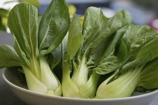 Kapusta pak choi