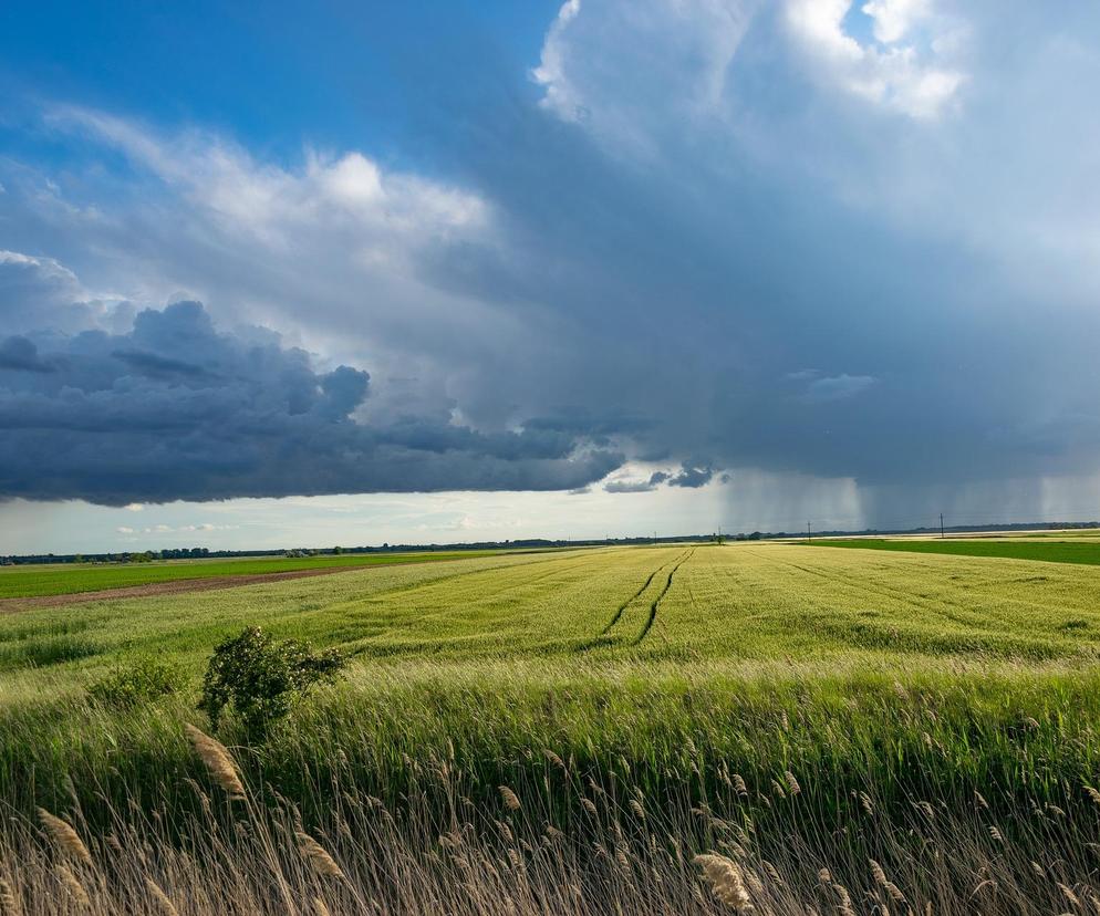 Pogodowy armagedon na Podlasiu. Potężne ulewy i wichury. To zacznie się już wkrótce