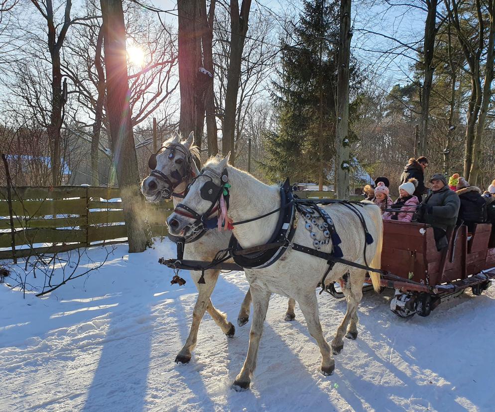 Kampinoski Park Narodowy