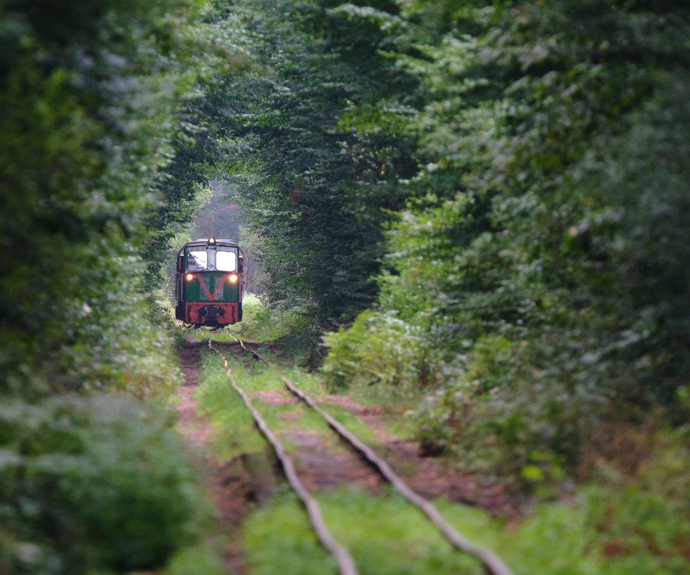 Kolejka wąskotorowa Starachowice