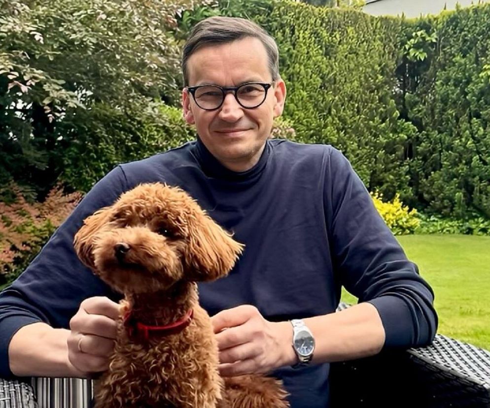 W takich warunkach mieszka Mateusz Morawiecki. Aż nas zatkało, gdy zobaczyliśmy zdjęcia ze środka [ZDJĘCIA]