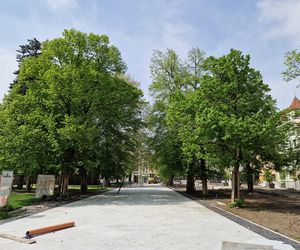 Tak teraz wygląda plac Wolności w Bydgoszczy. Powrót kwiaciarek ponownie opóźniony