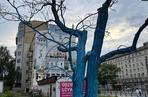 Artysta otrzymał zgodę od miasta na pomalowanie drzewa