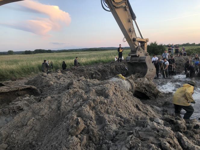 Poszukiwacze bursztynu w Rewie. Jak wyglądają poszukiwania złota Bałtyku? 