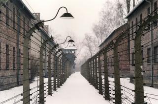 Niemcy stworzyli piekło na ziemi. 82 lata temu założono obóz w Auschwitz