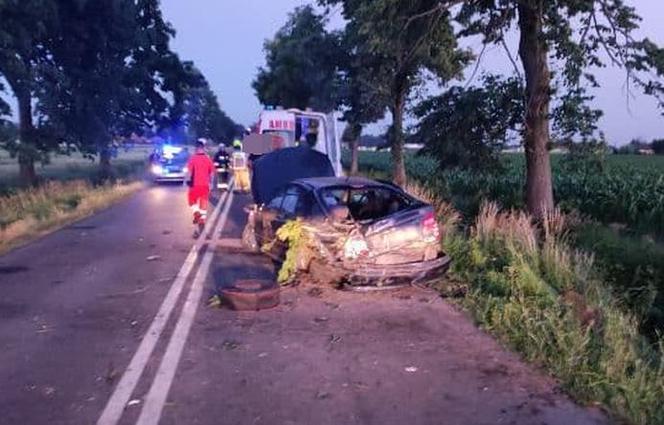 Mystkowo. Pięć osób otarło się o śmierć! 17-latek wypadł z mitsubishi i zabrała go karetka [ZDJĘCIA]