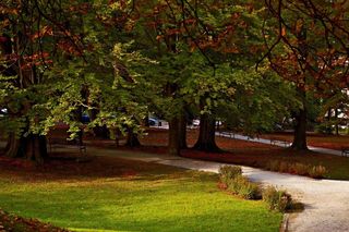 Świeradów-Zdrój to najlepsza miejscowość jesienią według AI