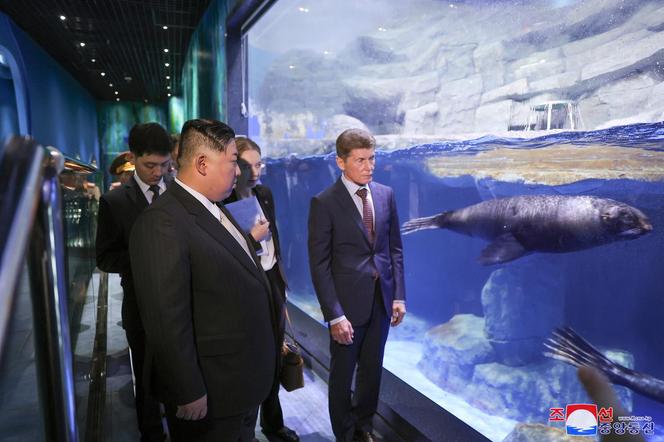 Nie uwierzysz, co Putin pokazał Kim Dzong Unowi! Wielki mors zrobił to na jego oczach