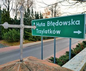 Godzinę od Warszawy leży „największy sad Europy”. To tu zabłądził sam król Kazimierz