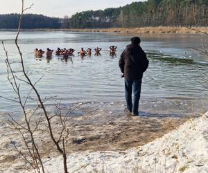 Lodowata woda im niestraszna! Za nami kolejne morsowanie w Pieckach pod Bydgoszczą