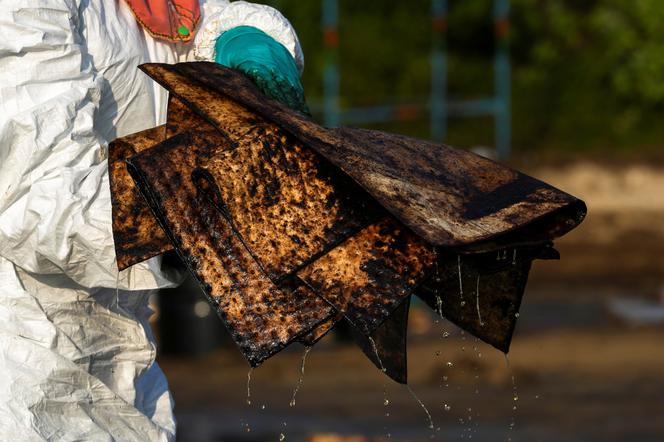 Dramat w Tajlandii. Plama ropy zagraża plażom, zwierzętom i koralowcom