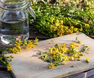 Nalewka z nawłoci - warto ją mieć w domu!
