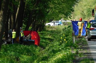 Tragiczny początek majówki na Mazowszu. Nie żyją dwie osoby. Jaguar uderzył w drzewo 