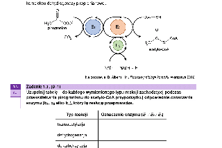 Matura 2023 rozszerzona biologia - arkusz CKE