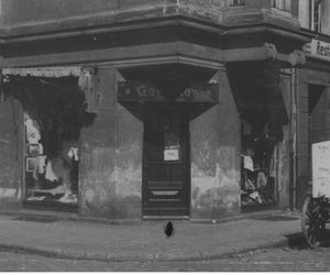 Witryny sklepowe w Toruniu. Widoczny wóz z nabiałem.