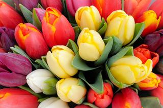 Szczęśliwe kwiaty na Dzień Kobiet