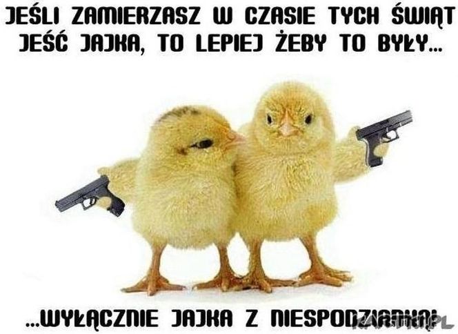 memy wielkanoc