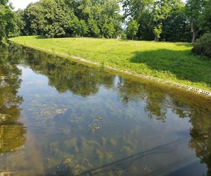 Park Miejski w Zamościu
