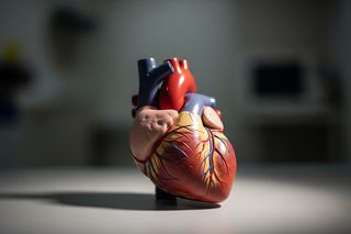 Przeszczep serca Religi. Nie wszyscy pacjenci mieli tyle szczęścia, co ten jeden rekordzista