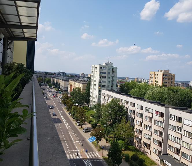 Odwiedziliśmy Letnią Czytelnię Książnicy Podlaskiej. Piękny widok na panoramę Białegostoku [ZDJĘCIA]