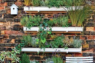 Ogród na balkonie - inspiracje