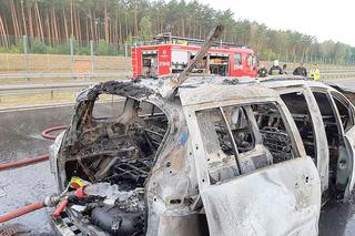 Auto doszczętnie spłonęło na ekspresówce koło Skwierzyny. Co się stało?