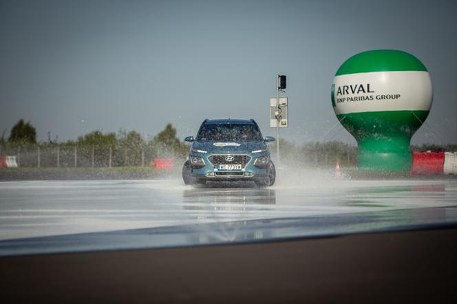 Energy Mix Arval 2020