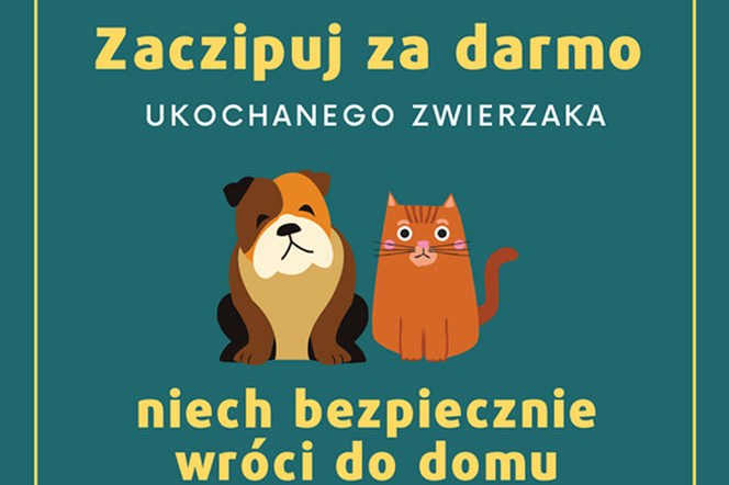 Teraz każdy może bezpłatnie zaczipować, wysterylizować lub wykastrować zwierzaka!