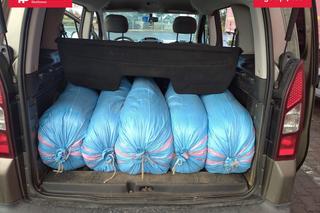 Nielegalna krajanka tytoniowa