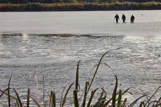 Zaginięcie Karoliny Wróbel. Policyjna akcja na ogromną skalę w Czechowicach-Dziedzicach