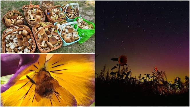 Światowy Dzień Fotografii. Z tych fotek są dumni nasi Czytelnicy! ZOBACZ