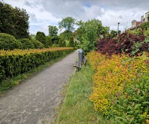 Sielanka, czyli zielona perła Bydgoszczy, o której mało kto pamięta!