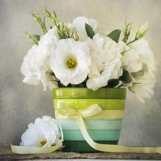 Kwiaty na Dzień Matki: eustoma