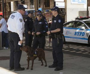 NYPD bez prawa do pogaduszek