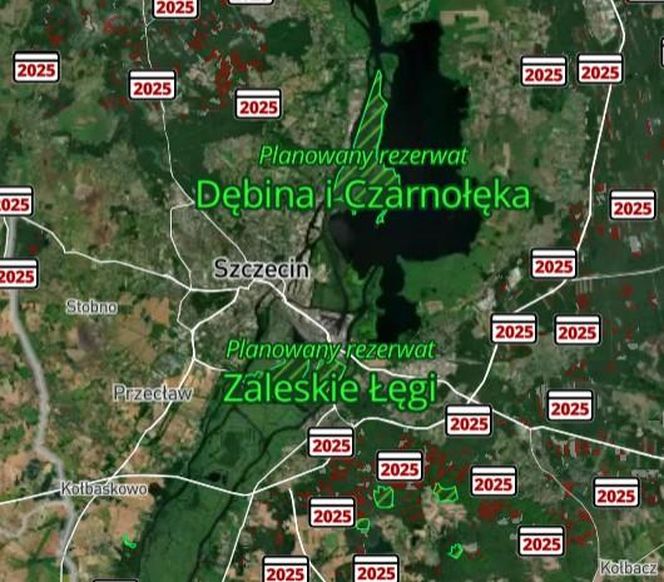 Mapa wycinki lasów 2025 - woj. zachodniopomorskie