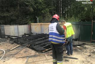 Czechowice-Dziedzice: Pożar w hotelu dla psów, dwóch zwierząt nie udało się uratować