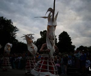 Impreza Wianki nad Krzną odbyła się w Łukowie już po raz siódmy